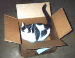 They won't find me in here!