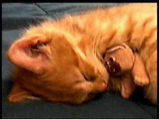 I need Mr. Binky