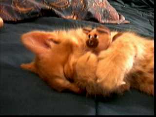 ZZZZZZZZZZZZZ