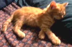 me sleepy