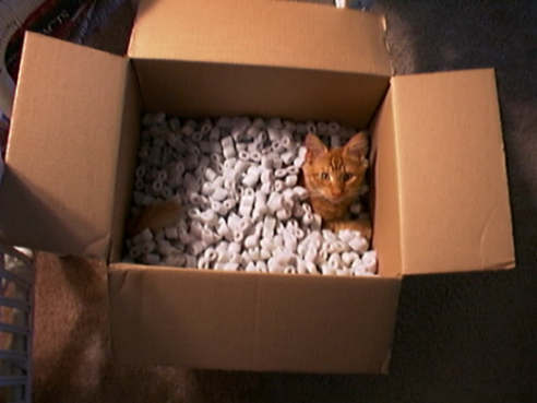 Ok, What about UPS?
