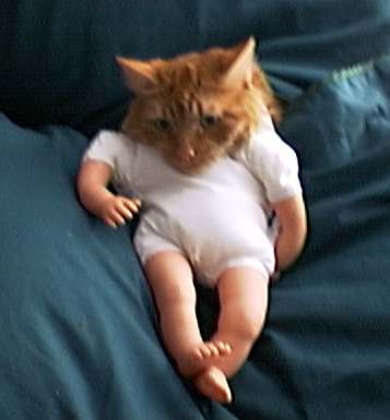 what if me was human?