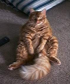 me just relaxing! 